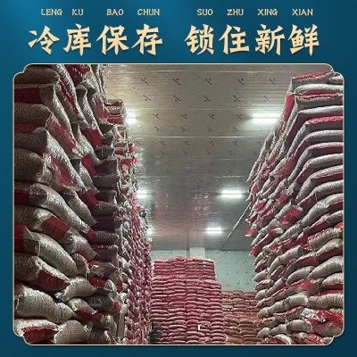厂家批发邵氏生花生东北花生米各种规格2022年新货扒拉颗长粒冷库图4
