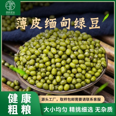 厂家批发邵氏缅甸油绿豆明绿豆绿豆沙绿豆原料