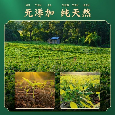 厂家批发邵氏缅甸油绿豆明绿豆绿豆沙绿豆原料图3