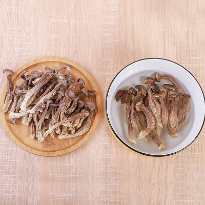 鹿茸菌干货鹿茸菇 500g散装批发脆嫩切根鹿茸菇 酒店餐饮食材批发图4