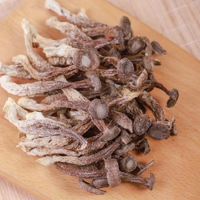 鹿茸菌干货鹿茸菇 500g散装批发脆嫩切根鹿茸菇 酒店餐饮食材批发图2