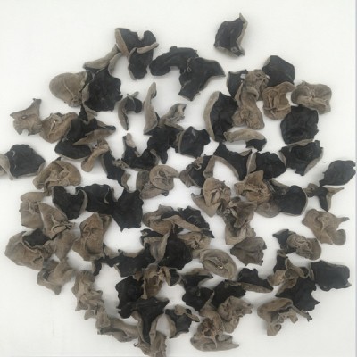 无根肉厚黑木耳 单片木耳碗耳 凉拌黑木耳秋耳大棚木耳批发定制图2