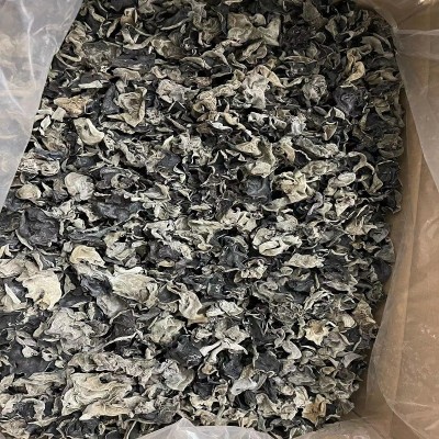 无根肉厚黑木耳 单片木耳碗耳 凉拌黑木耳秋耳大棚木耳批发定制图3