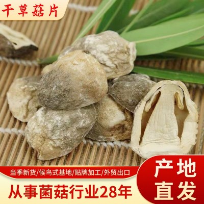 福建干草菇片 对半切草菇原料批发 关东煮菌菇串原料加工定制