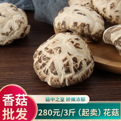 食用大花菇干货冬菇山里岗农家椴木剪脚厚香菇家用白花菇图2