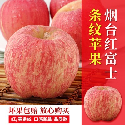 当季山东烟台红富士苹果新鲜10斤5斤整箱冰糖心苹果水果批发代发图2