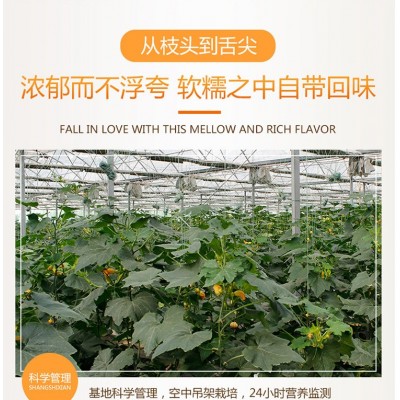 贝贝南瓜 小南瓜 板栗南瓜5斤装新鲜采摘一件代发 不粉糯退全款图4