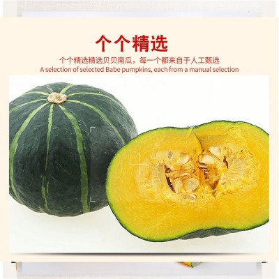 贝贝南瓜 小南瓜 板栗南瓜5斤装新鲜采摘一件代发 不粉糯退全款图3