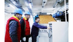 国网焦作供电公司：电助特色农业 怀药变“金疙瘩”