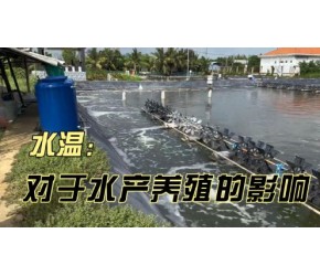 水温对水产养殖有5大影响！这些细节，能够帮助你成为养虾高手！