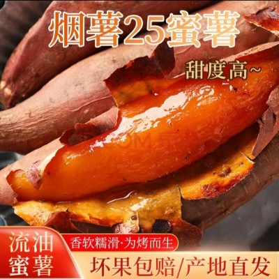 山东烟台烟薯25号蜜薯新鲜现挖烤地瓜糖心流油红薯支持代发