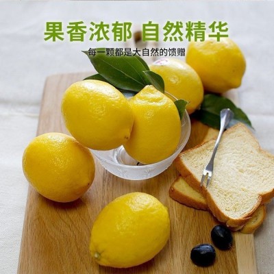 四川安岳产地柠檬新鲜水果黄柠檬皮薄多汁中大果整箱批发一件代发图2
