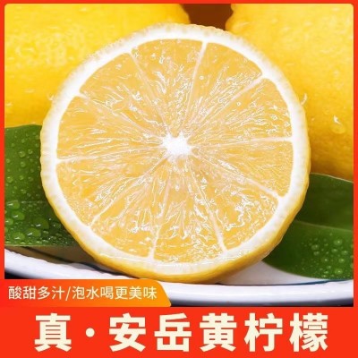 四川安岳精选新鲜黄柠檬皮薄多汁奶茶店常用果园产地直发一件批发图5