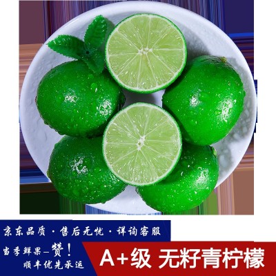 广西无籽青柠檬皮薄多汁当季新鲜水果奶茶店专供批发图2