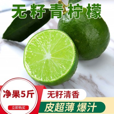 广西无籽青柠檬皮薄多汁当季新鲜水果奶茶店专供批发