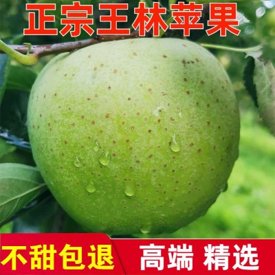青苹果王林日本青森王林苹果新鲜水果丑脆甜孕妇时令应季包邮