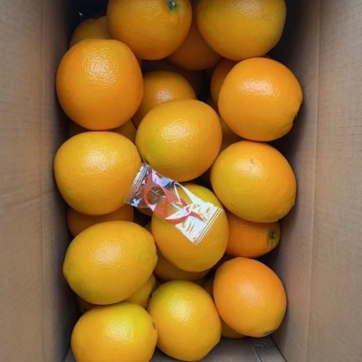 赣南脐橙新鲜水果批发应季水果孕妇儿童手拨甜橙子当季现摘现发