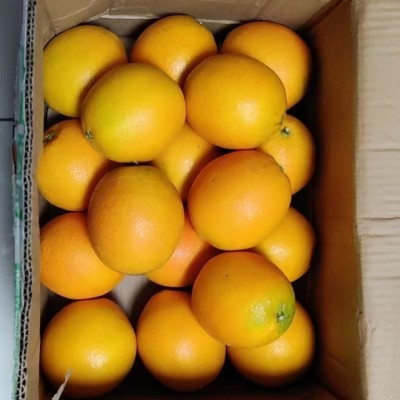 批发新鲜夏脐橙子当季水果手剥甜橙江西赣南脐橙整箱榨汁4.6斤装图4