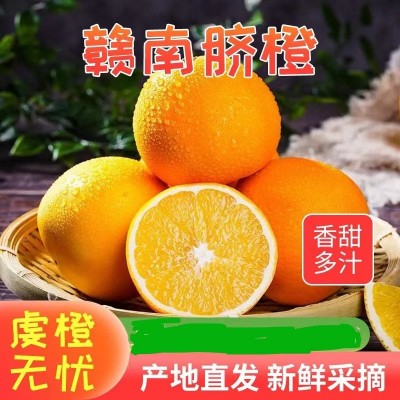 批发新鲜夏脐橙子当季水果手剥甜橙江西赣南脐橙整箱榨汁4.6斤装图5