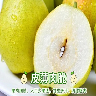 新疆库尔勒香梨皮薄肉厚脆嫩爽口当季新鲜水果整箱包邮图4
