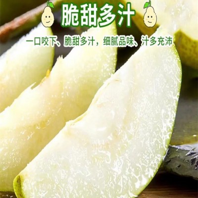 新疆库尔勒香梨皮薄肉厚脆嫩爽口当季新鲜水果整箱包邮图3