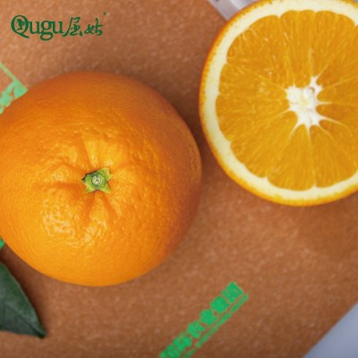 宜昌脐橙 九月红脐橙鲜果 大量批发整车发货 产地直发图5