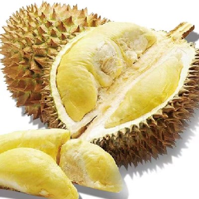 应季金枕头榴莲非猫山王A果3房4房新鲜整个带壳当季水果肉5-6斤