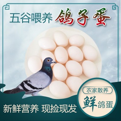 产地顺丰直发新鲜鸽蛋孕产妇儿童老人食用农家散养草现捡鸽子蛋图2