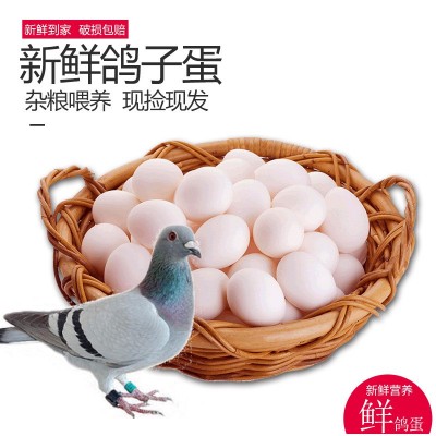 产地顺丰直发新鲜鸽蛋孕产妇儿童老人食用农家散养草现捡鸽子蛋