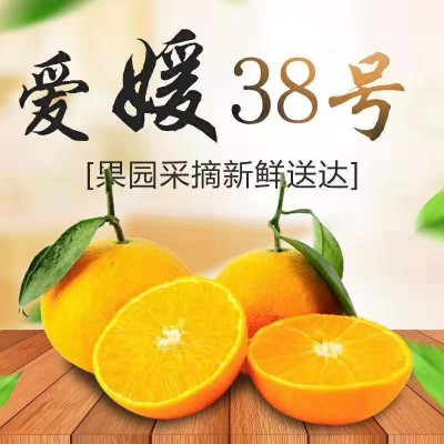 爱媛38号果冻橙柑橘红美人手剥果冻橙孕妇丹棱爱媛新鲜水果代发图1