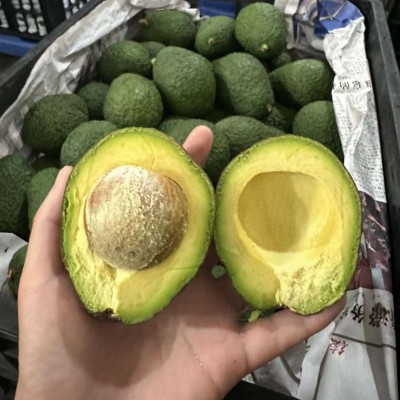 牛油果云南哈斯牛油果国产鳄梨流油果大果应当季即食巨无霸牛油果图3