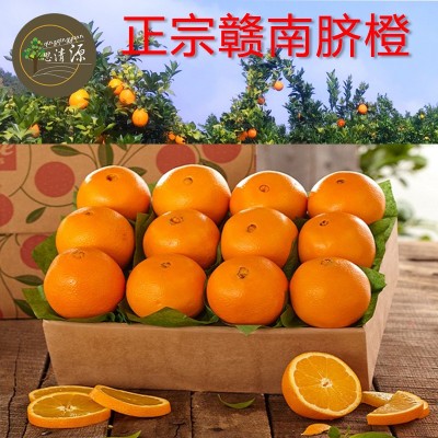 批发脐橙 正宗赣南脐橙鲜甜多汁一件代发产地现摘 江西赣州直发图3