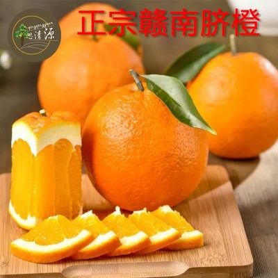 批发脐橙 正宗赣南脐橙鲜甜多汁一件代发产地现摘 江西赣州直发图4