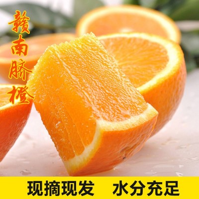正宗江西赣南脐橙10斤新鲜水果当季果冻橙子大果整箱包邮批发分销图2