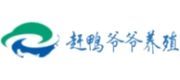 赶鸭爷爷养殖