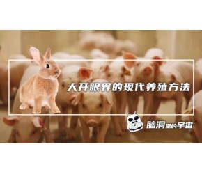 大开眼界的现代养殖方法