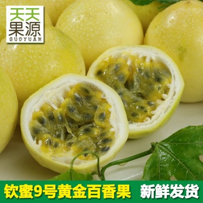海南黄金百香果5斤黄皮百香果鸡蛋果西番莲热带水果 批发一件代发图1
