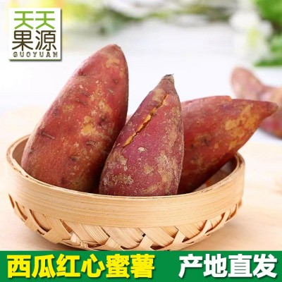 产地直发云南西瓜红薯5斤装整箱红心蜜薯沙地小香薯新鲜地瓜批发图1