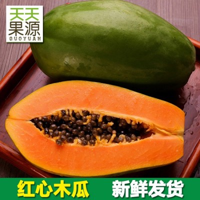 广东雷州木瓜红心木瓜8斤整箱水果青木瓜冰糖心新鲜热带水果批发图1