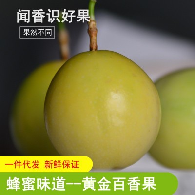 广西钦蜜9号黄金百香果鸡蛋果新鲜热带水果3斤5斤9斤大果一件代发图1