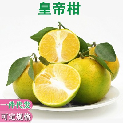 广西皇帝柑新鲜贡柑热带水果剥皮桔子3斤5斤9橘子一件代发
