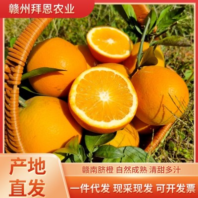 正宗赣南脐橙现摘新鲜水果当季大橙子10斤20斤装赣州果园产地直发图2