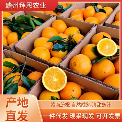 正宗赣南脐橙现摘新鲜水果当季大橙子10斤20斤装赣州果园产地直发图3