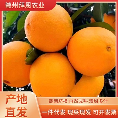 正宗赣南脐橙现摘新鲜水果当季大橙子10斤20斤装赣州果园产地直发