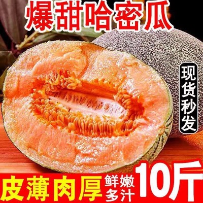 哈密瓜批发沙漠甘肃民勤西州蜜25号当季水果脆甜网纹香瓜整箱包邮图3