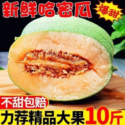 哈密瓜批发沙漠甘肃民勤西州蜜25号当季水果脆甜网纹香瓜整箱包邮图4