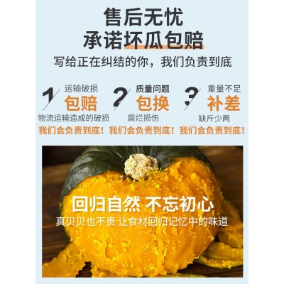 贝贝南瓜板栗小南瓜5斤正宗新鲜老南瓜粉糯香甜宝宝辅食蔬菜10图5