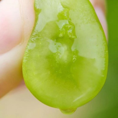 【顺丰包邮】阳光玫瑰晴王葡萄香印青提提子新鲜应季水果整箱4斤图1