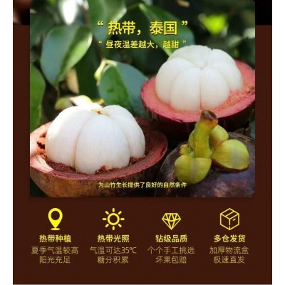 顺丰冷链泰国山竹5A6A特大果新鲜速发特级应季水果送礼包邮批发价图1