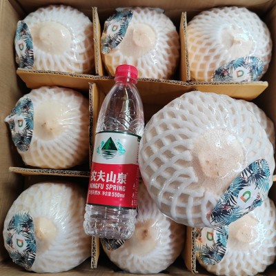QD牌泰国椰青新鲜椰子特大果9个装进口整箱批发D牌椰青图3